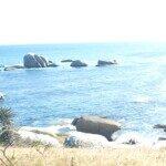 Profile photo of Sipho